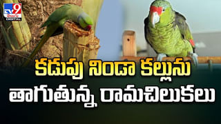 Liquor Shops: ఆ షాపులకు మందుబాబులు వెళ్లట్లేదట.! ఎందుకో తెలుసా.? వీడియో..