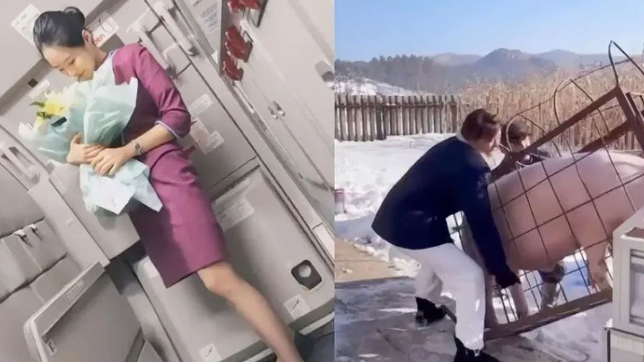 అందమైన ఎయిర్ హోస్టెస్ ఉద్యోగం మానేసి పందుల పెంపకం మొదలుపెట్టిన యువతి.. ! కారణం ఇదేనట..