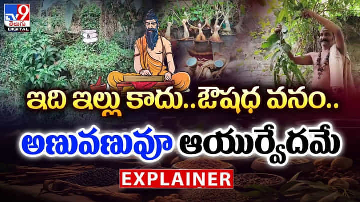 ఇది ఇల్లు కాదు.. ఔషధ వనం.. అణువణువూ ఆయుర్వేదమే ఇది ఇల్లు కాదు.. ఔషధ వనం.. అణువణువూ ఆయుర్వేదమే