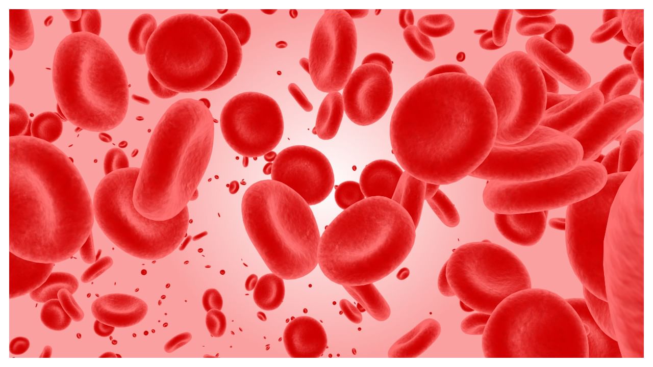 Platelet Foods: బ్లడ్‌లో ప్లేట్‌లెట్స్ కౌంట్ పెంచే బెస్ట్ ఆహారాలు ఇవే..