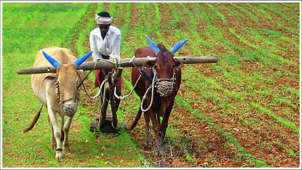 PM Kisan: సమయం వచ్చేస్తోంది.. విడుదల కానున్న పీఎం కిసాన్ 19వ విడత!