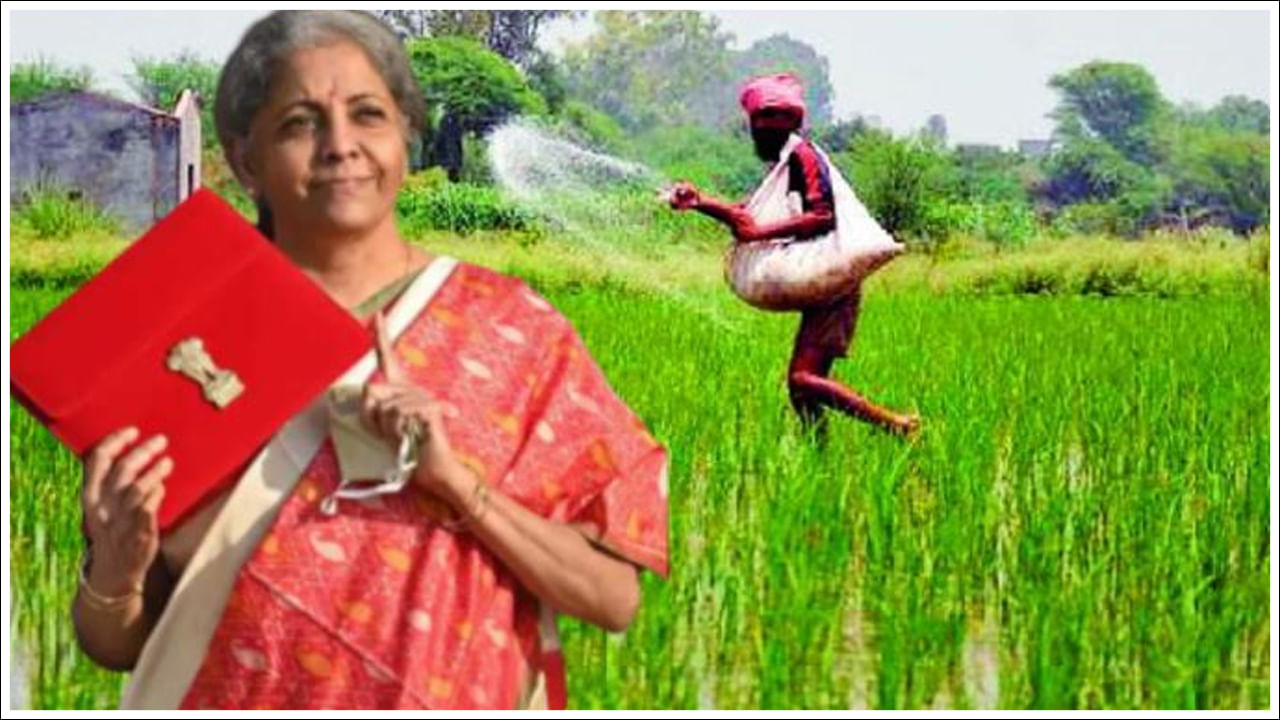 ఫిబ్రవరి 1న ప్రవేశపెట్టే బడ్జెట్‌లో రైతులకు అనేక వరాలు ఉండబోతున్నాయని తెలుస్తోంది. రైతుల ఆదాయాన్ని పెంచడమే కాకుండా ఈ బడ్జెట్‌లో మరెన్నో అంశాలు ఉండవచ్చు.