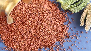 Palak Chicken Curry: టేస్టీ పాలకూర చికెన్.. ఎందులోకైనా పర్ఫెక్ట్..