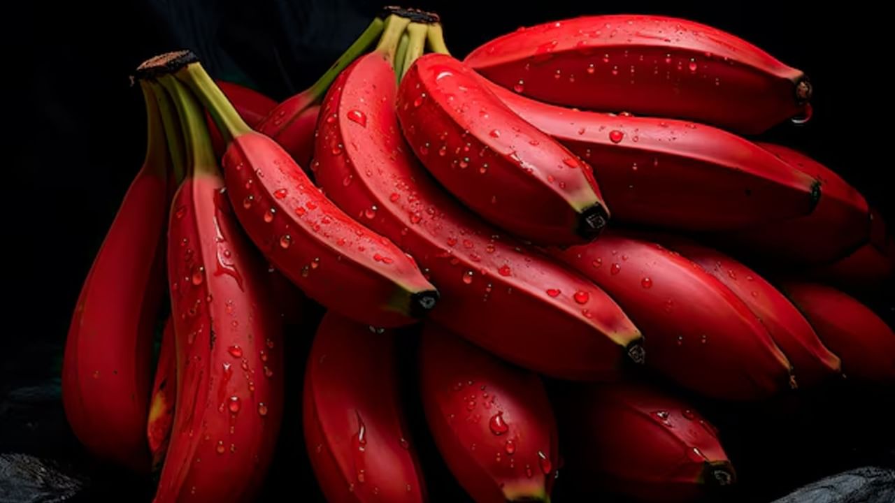 Red Banana: ఎప్పుడు తినాలి ? ఈ పండుతో ఎన్ని ఆరోగ్య ప్రయోజనాలో తెలుసా ?