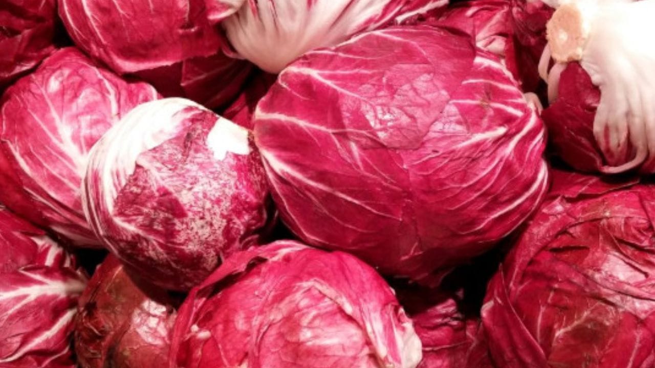 ఇతర కూరగాయలతో పోలిస్తే రెడ్ క్యాబేజీ చాలా ఆకర్షణీయంగా ఉంటుంది. ఈ కూరగాయలో ఆంథోసైనిన్స్, విటమిన్ సి, విటమిన్ కె, ఫైబర్ పుష్కలంగా ఉంటాయి. ఇది జీర్ణక్రియను మెరుగుపరచడంలో, రోగనిరోధక శక్తిని పెంచడంలో, ఎముకల ఆరోగ్యానికి మేలు చేయడంలో చాలా సహాయపడుతుంది. అంతేకాదు, ఆక్సీకరణ ఒత్తిడిని తగ్గించడంలో ఇది ముఖ్యమైన పాత్ర పోషిస్తుంది.