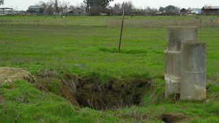 AP News: దండిగా చేపలు పడతాయని వల విసిరారు.. తీరా పైకి లాగి చూడగా