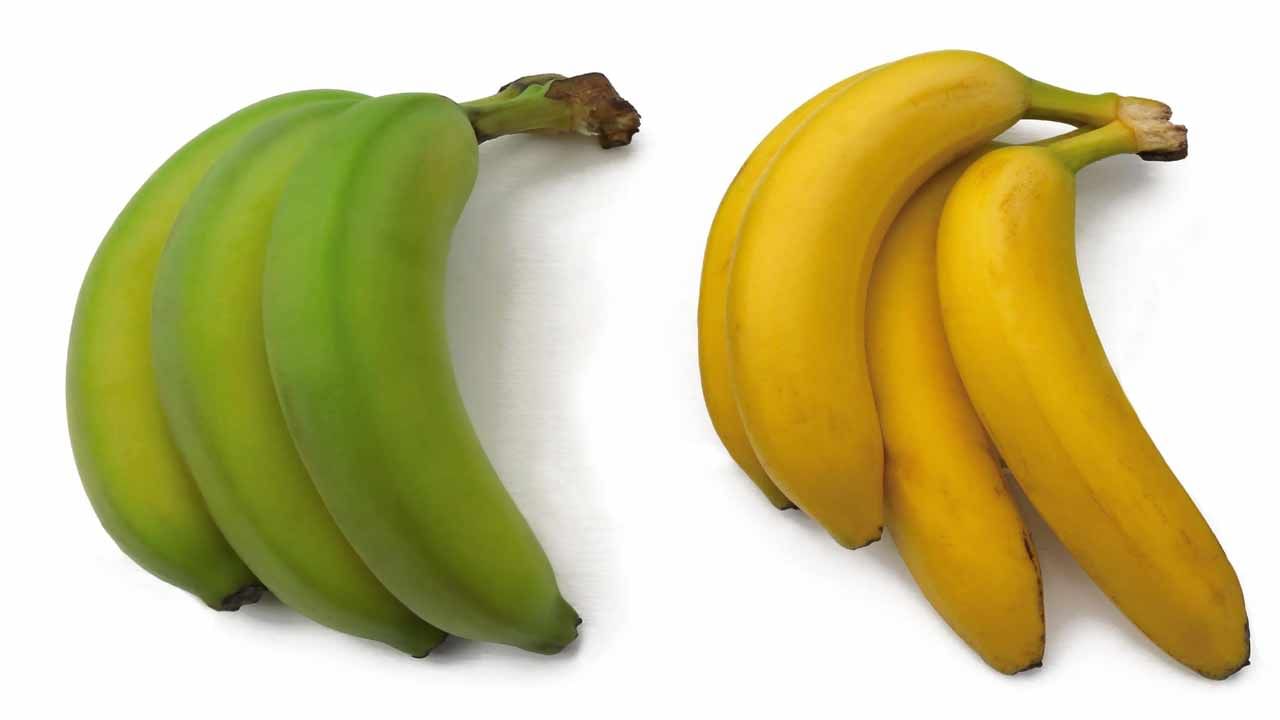 బాగా పండిన అరటి పండ్లలో ఫైబర్ పుష్కలంగా లభిస్తుంది. ఇందులో జీర్ణక్రియను మెరుగుపరిచే గుణాలు సమృద్ధిగా ఉన్నాయి. కాబట్టి రోజు భోజనం తర్వాత బాగా పండిన అరటి పండు తినడం వల్ల మలబద్ధకం, గ్యాస్ వంటి సమస్యలు కూడా దూరమవుతాయని నిపుణులు చెబుతున్నారు. 