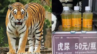 Viral: పాఠాలు చెప్పాల్సిన విద్యార్థితో లేడీ ప్రొఫెసర్ పెళ్లి.. కట్ చేస్తే.. మైండ్ బ్లోయింగ్ ట్విస్ట్