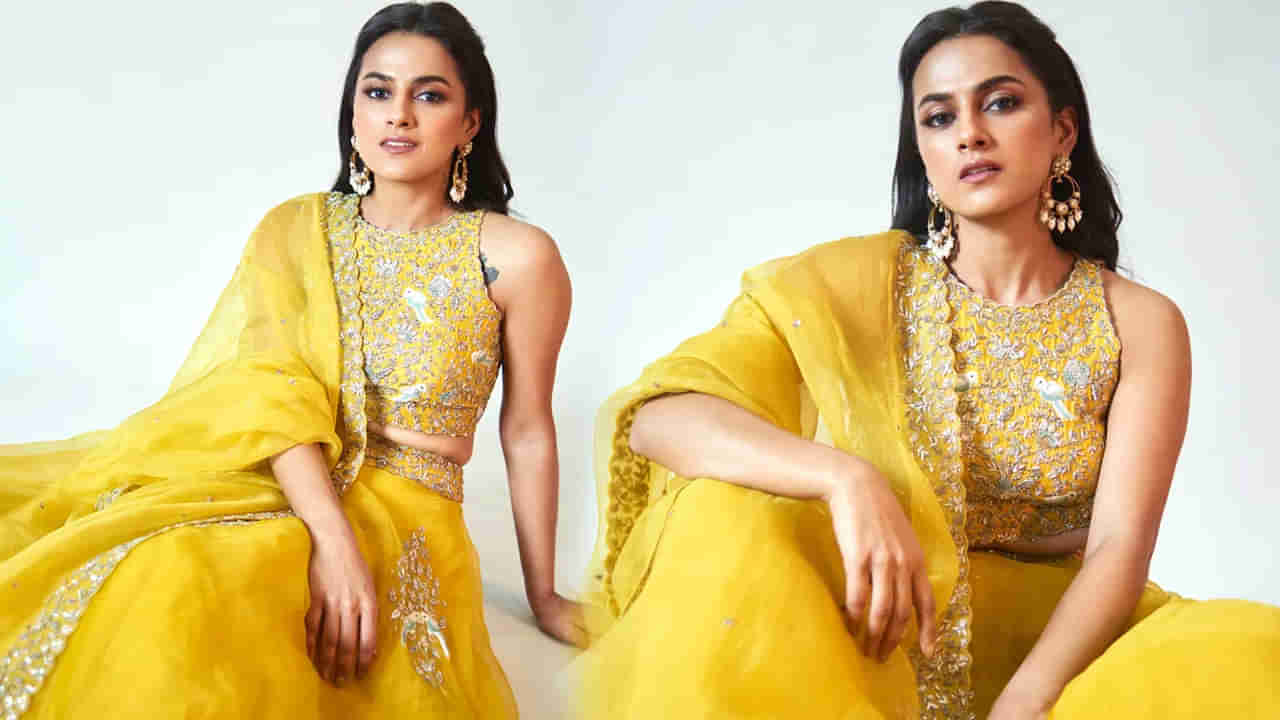 Shraddha Srinath: డాకు మహారాజ్ హిట్ అయితే ఈ అమ్మడికి ఢోకా లేనట్టే