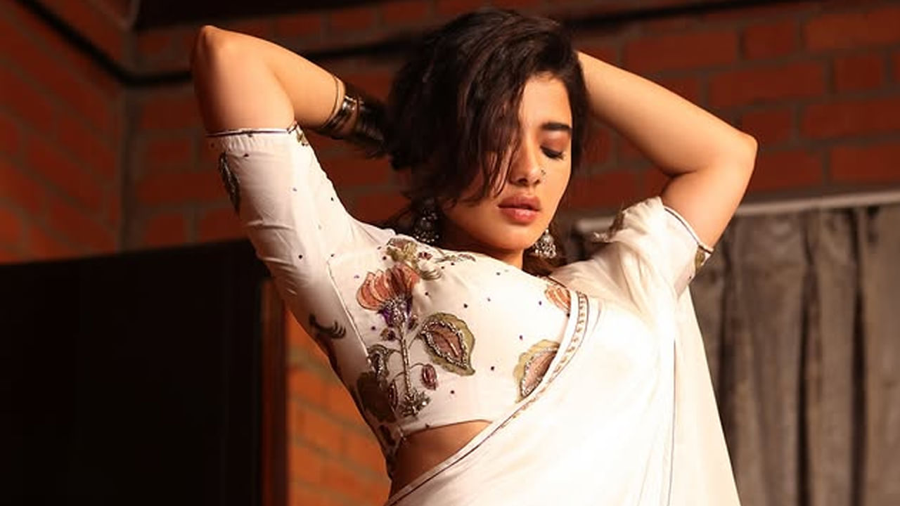 తన డబ్స్‌మాష్ వీడియో క్లిప్‌ల కారణంగా సోషల్ మీడియాలో వైరల్‌గా మారింది. దింతో సోషల్ మీడియా ఇన్ఫ్లుయెన్సుర్ అయింది. 2021లో ఆకాష్ పూరికి జోడిగా రొమాంటిక్ అనే ఓ టాలీవుడ్ సినిమాతో చలనచిత్ర అరంగేట్రం చేసింది ఈ వయ్యారి భామ.