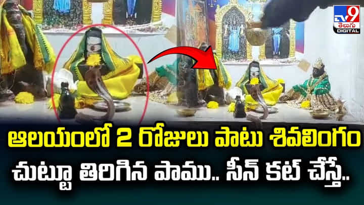 ఆలయంలో 2 రోజులు పాటు శివలింగం చుట్టూ తిరిగిన పాము.. సీన్ కట్ చేస్తే.. ఆలయంలో 2 రోజులు పాటు శివలింగం చుట్టూ తిరిగిన పాము.. సీన్ కట్ చేస్తే..