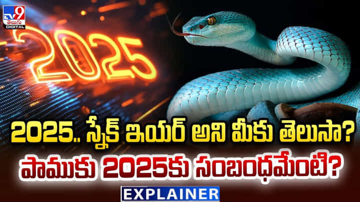 2025.. స్నేక్ ఇయర్ అని మీకు తెలుసా ?? పాముకు 2025కు సంబంధమేంటి ?? 2025.. స్నేక్ ఇయర్ అని మీకు తెలుసా ?? పాముకు 2025కు సంబంధమేంటి ??