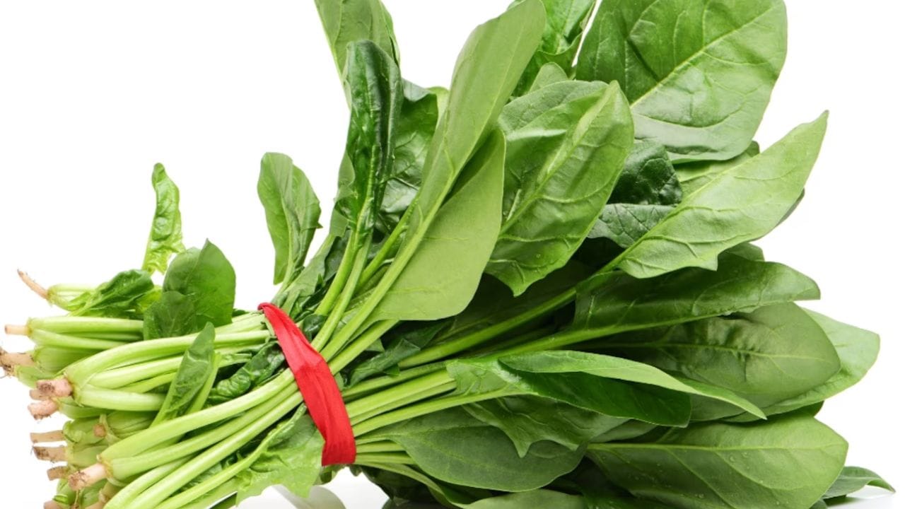 పాలకూర కంటి ఆరోగ్యానికి చాలా ముఖ్యమైన ఆహారం. ఇందులో ల్యూటిన్, జియాక్సంతిన్ వంటి శక్తివంతమైన యాంటీ ఆక్సిడెంట్లు ఉన్నాయి. ఇవి కంటి కణాలను రక్షించి కంటి మచ్చల క్షీణత, కంటిశుక్లం వంటి సమస్యలను నివారించడంలో కీలక పాత్ర పోషిస్తాయి. పాలకూరను ఆహారంలో తరచుగా చేర్చడం వల్ల కంటికి కావలసిన పోషకాలు అందుతాయి.