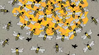 Silver Care: వెండి వస్తువులు మెరిసిపోవాలంటే..? ఈ సింపుల్ టిప్స్ ఫాలో అవ్వండి..!