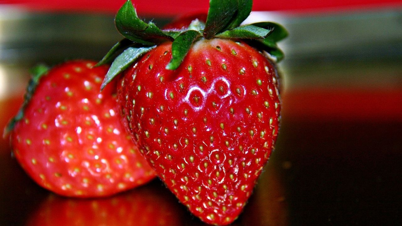 తేలికైన తీపి రుచితో, అందరినీ ఆకట్టుకునే స్ట్రాబెర్రీలు పుష్కలమైన పోషకాలను అందిస్తాయి. వీటిలో విటమిన్ సి, మాంగనీస్, యాంటీ-ఇన్ఫ్లమేటరీ లక్షణాలు ఉంటాయి. ఆంథోసైనిన్స్, ఎలాజిక్ యాసిడ్ వంటి యాంటీఆక్సిడెంట్లు చర్మాన్ని ఆరోగ్యంగా ఉంచడంలో కీలక పాత్ర పోషిస్తాయి. స్ట్రాబెర్రీలను తినడం వల్ల గుండె ఆరోగ్యానికి మేలు కలిగించడమే కాకుండా.. రక్తంలో చక్కెర స్థాయిలను సరిచేసే గుణం కూడా ఉంటుంది.