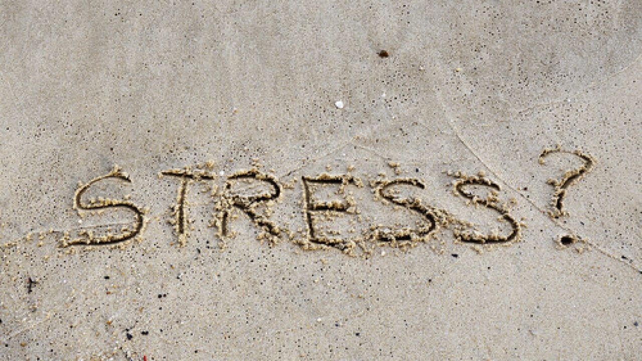 ప్రస్తుత కాలంలో చాలా మంది ఇబ్బంది పడే సమస్యల్లో ఒత్తిడి, ఆందోళన ఒకటి. ఆఫీసులో ఒత్తిడిలు, ఇంట్లోని పరిస్థితుల కారణంగా ఒత్తిడికి గురవుతూ ఉంటారు. ఒత్తిడి కారణంగా అనేక ఇతర సమస్యలు కూడా వస్తూ ఉంటాయి. ఎక్కువగా తలనొప్పి వస్తూ ఉంటుంది. ఇలాంటి వారు ఈ ఫుడ్స్ తీసుకుంటే మంచి రిలీఫ్ దొరుకుతుంది.
