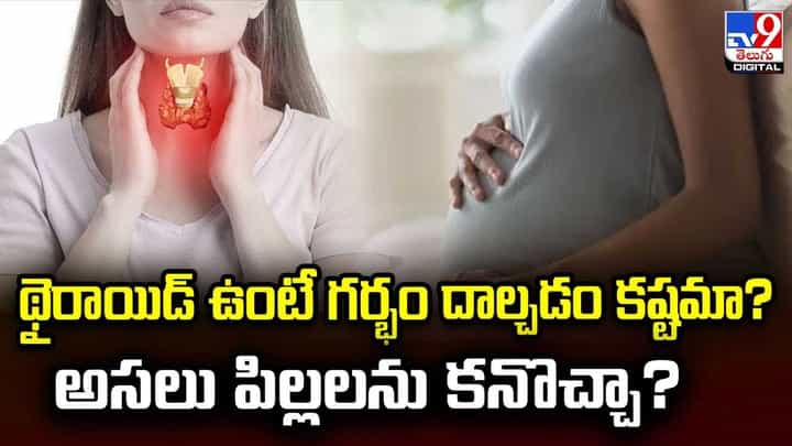 థైరాయిడ్ ఉంటే గర్భం దాల్చడం కష్టమా? థైరాయిడ్ ఉంటే గర్భం దాల్చడం కష్టమా?