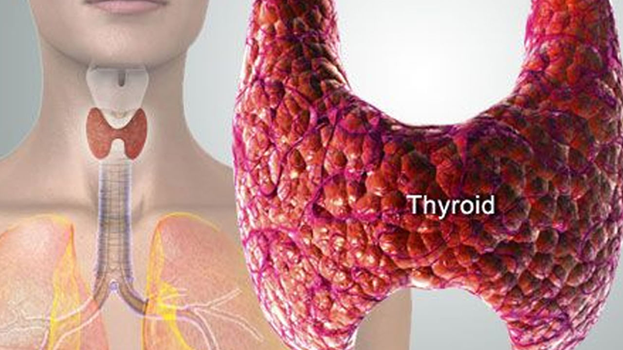 Thyroid: థైరాయిడ్ ఉంటే గర్భం దాల్చడం కష్టమా? అసలు పిల్లలను కనొచ్చా