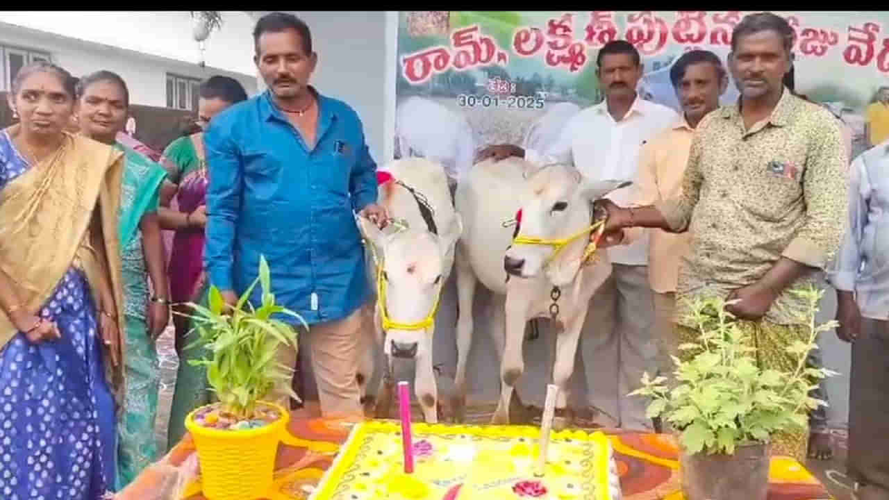 Andhra Pradesh : కవల ఆవు దూడలకు మొదటి పుట్టిన రోజు వేడుక.. ఊరంతా సందడి..