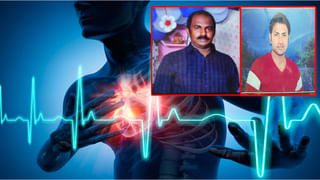 గోవు, వృషభాలకు ఇంతటి విశిష్టత ఉందా..? కనుమనాడు వీటిని ఎందుకు పూజిస్తారంటే..?