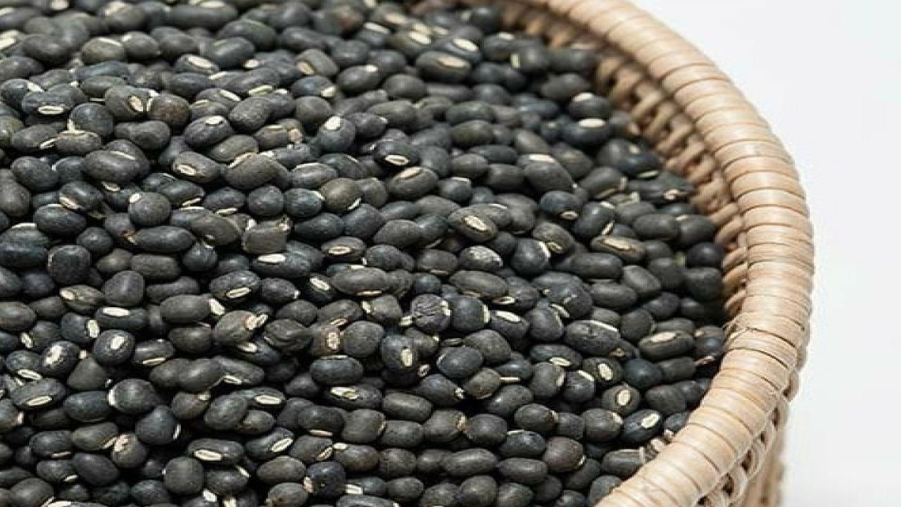 Urad Dal : మినపప్పు ఎంత ఆరోగ్యమో తెలుసా..? డయాబెటిస్ ఉన్నవారికి దివ్యౌషధం..!