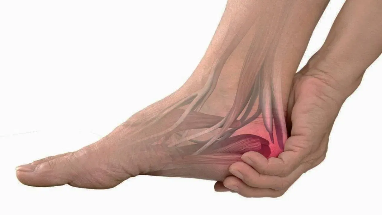 విటమిన్ సి మాత్రమే కాదు. యూరిక్ యాసిడ్‌ను తగ్గించడంలో విటమిన్ ఎ కూడా అద్భుతంగా పనిచేస్తుంది. ఈ విషయంలో యాపిల్ సరైన పండ్లు. ఆపిల్స్ లో విటమిన్ ఎ పుష్కలంగా ఉంటుంది. ప్రతిరోజూ ఒక ఆపిల్ తినడం వల్ల వైద్యుడికి దూరంగా ఉంచడమే కాదు. యూరిక్ యాసిడ్ కూడా దూరంగా ఉంటుంది.