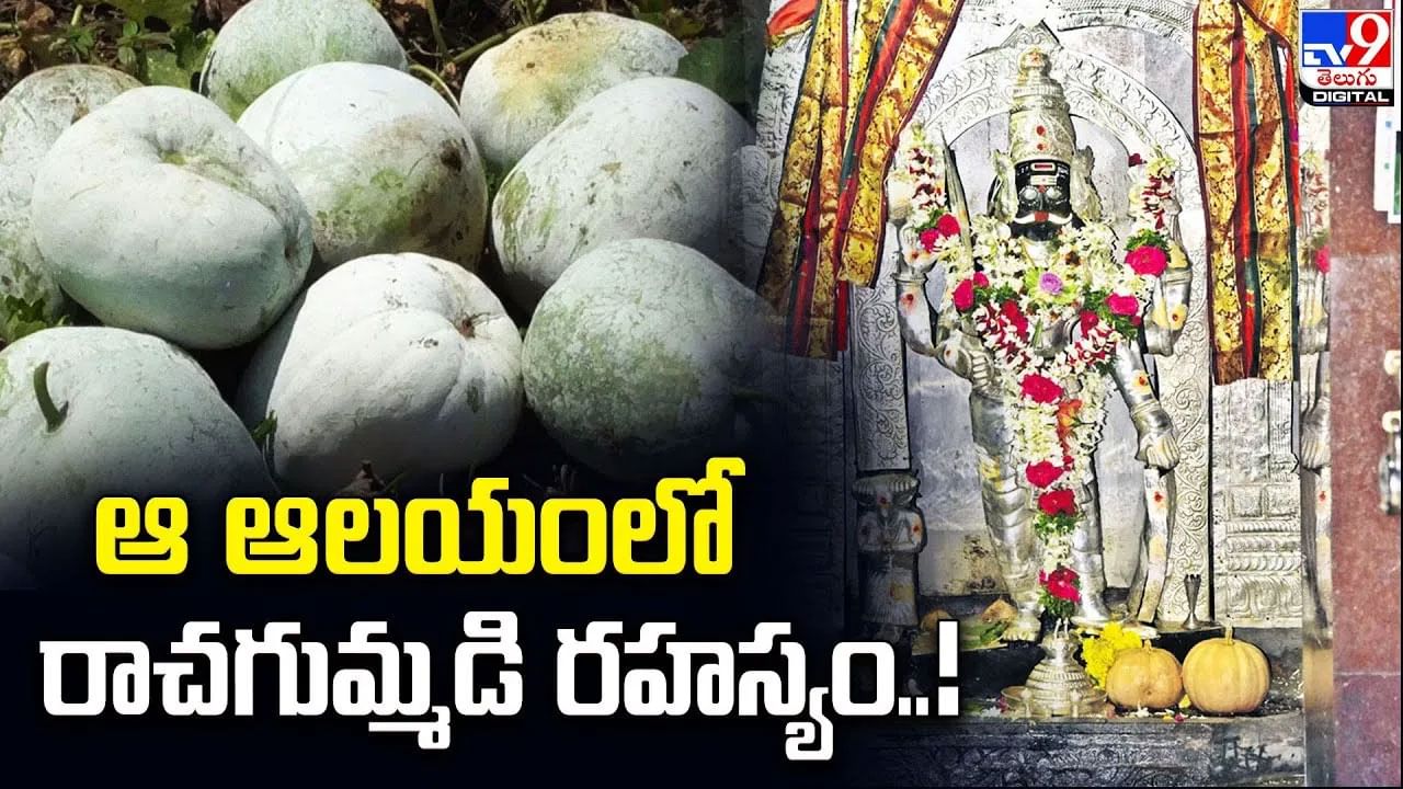 Veerabhadra Swamy: కోరిక తీరాలంటే.. కోర మీసం వీరభద్రుడికి గుమ్మడికాయ సమర్పించాల్సిందే..