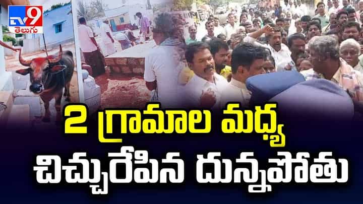 రెండు గ్రామాల మధ్య చిచ్చురేపిన దున్నపోతు.. ఏం జరిగిందంటే? రెండు గ్రామాల మధ్య చిచ్చురేపిన దున్నపోతు.. ఏం జరిగిందంటే?