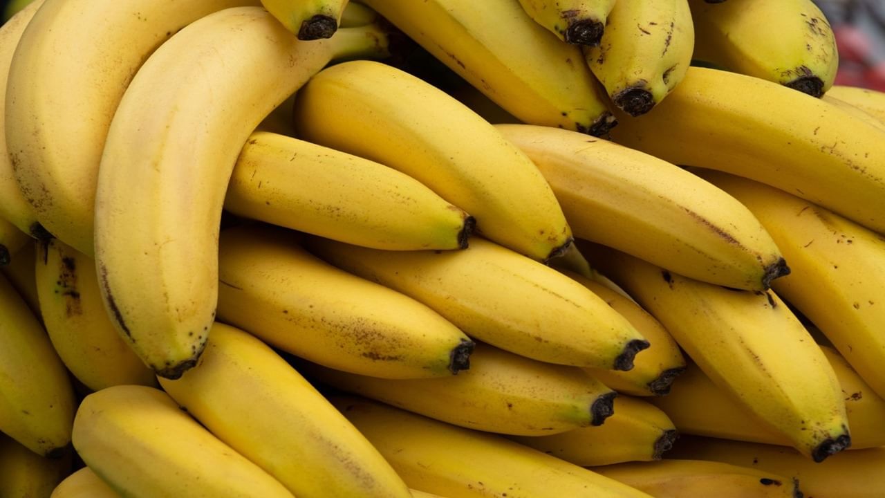 Banana Benefits: ఉదయాన్నే అరటిపండు తింటే శరీరానికి ఇన్ని ఉపయోగాలా?