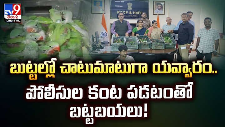 బుట్టల్లో చాటుమాటుగా యవ్వారం.. పోలీసుల కంట పడటంతో బట్టబయలు! వీడియో బుట్టల్లో చాటుమాటుగా యవ్వారం.. పోలీసుల కంట పడటంతో బట్టబయలు! వీడియో
