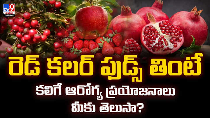 రెడ్ కలర్ ఫుడ్స్ తింటే కలిగే ఆరోగ్య ప్రయోజనాలు మీకు తెలుసా? రెడ్ కలర్ ఫుడ్స్ తింటే కలిగే ఆరోగ్య ప్రయోజనాలు మీకు తెలుసా?