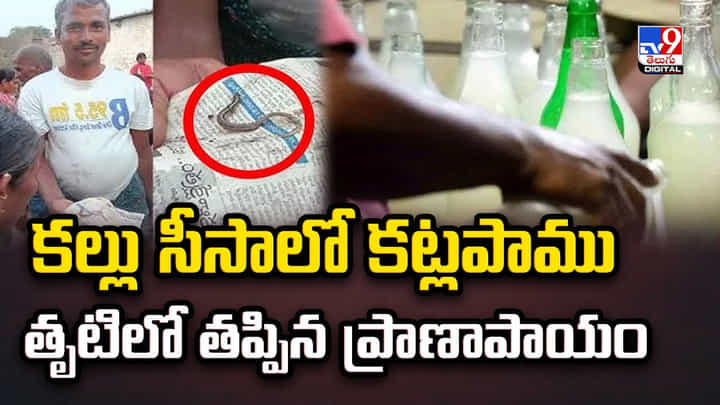 కల్లు సీసాలో కట్లపాము ..తృటిలో తప్పిన ప్రాణాపాయం! కల్లు సీసాలో కట్లపాము ..తృటిలో తప్పిన ప్రాణాపాయం!