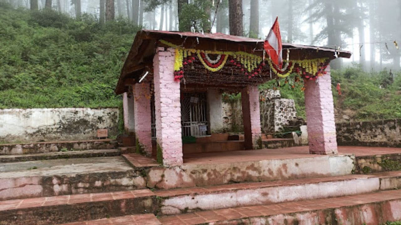 జోషిమఠ్ నుండి తపోవనం మీదుగా 21 కిలోమీటర్ల దూరంలో భవిష్య బద్రి ఆలయం ఉంది. అగస్త్య మహర్షి ఇక్కడ తపస్సు చేసారని చెబుతారు. సనత్ కుమార్ సంహిత ప్రకారం భవిష్యత్తులో బద్రీనాథుడు ఇక్కడే దర్శనం ఇస్తాడని చెపుతారు. ఆది శంకరాచార్యులు ఈ ఆలయాన్ని స్థాపించారు. ఇక్కడ నరసింహ విగ్రహం ప్రతిష్టించబడింది. విష్ణు ప్రయాగ సమీపంలోని జై, విజయ్ పర్వతాలు భవిష్యత్తులో కూలిపోతాయని అప్పుడు బద్రీనాథుడు ఇక్కడ కొలువుదీరుతాడని చెపుతారు. అందుకే దీనికి భవిష్యబద్రి అని పేరు వచ్చింది. ఈ ఆలయం భవిష్యత్తును సూచిస్తుందని భక్తులు నమ్ముతారు.