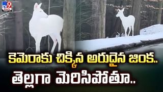 రూ.36 లక్షలు కొట్టేశారు.. చివరకు.. వీడియో