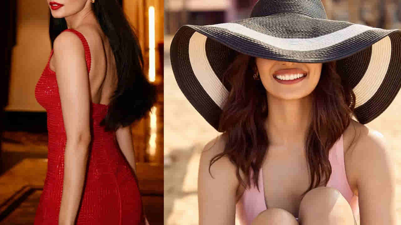 Tollywood: చేసింది 5 సినిమాలు.. అన్నీ డిజాస్టర్లే.. మిస్ వరల్డ్కు కలిసిరాని అదృష్టం..