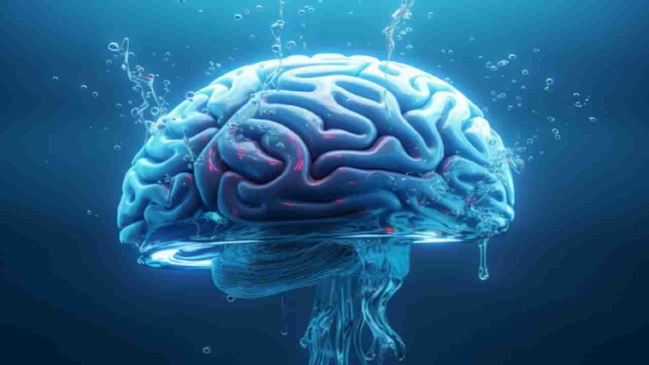 AI brain decoder: మెదడును వేగంగా చదివేసే ఏఐ టెక్నాలజీ.. ఆ వ్యాధి బాధితులకు ఎంతో ఉపయోగం