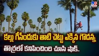 ఏపీ అసెంబ్లీ బడ్జెట్‌ సమావేశాలు ప్రారంభం.. ఉభయసభలను ఉద్దేశించి గవర్నర్ ప్రసంగం
