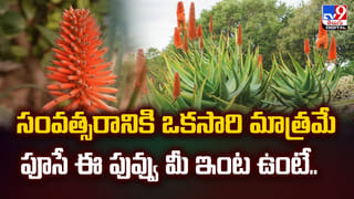 Samathakubh-2025: మన వ్యక్తిత్వం, మన ఆలోచనలు మెరుగు పడాలంటే దేవాలయ సందర్శన అవసరంః చిన్నజీయర్ స్వామి