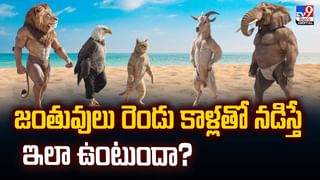కీళ్ల నొప్పులు వేధిస్తున్నాయా?  పాలలో ఈ పొడి కలిపి తాగితే..