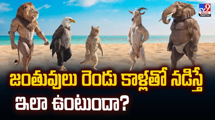 జంతువులు రెండు కాళ్లతో నడిస్తే ఇలా ఉంటుందా.. జంతువులు రెండు కాళ్లతో నడిస్తే ఇలా ఉంటుందా..