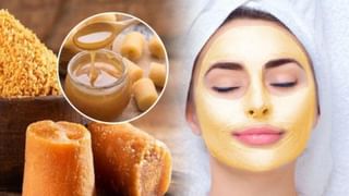 ఇంట్లోకి దోమలు ఎక్కువగా వస్తున్నాయా..? ఈ సింపుల్ టిప్స్ ట్రై చేసి చూడండి..!