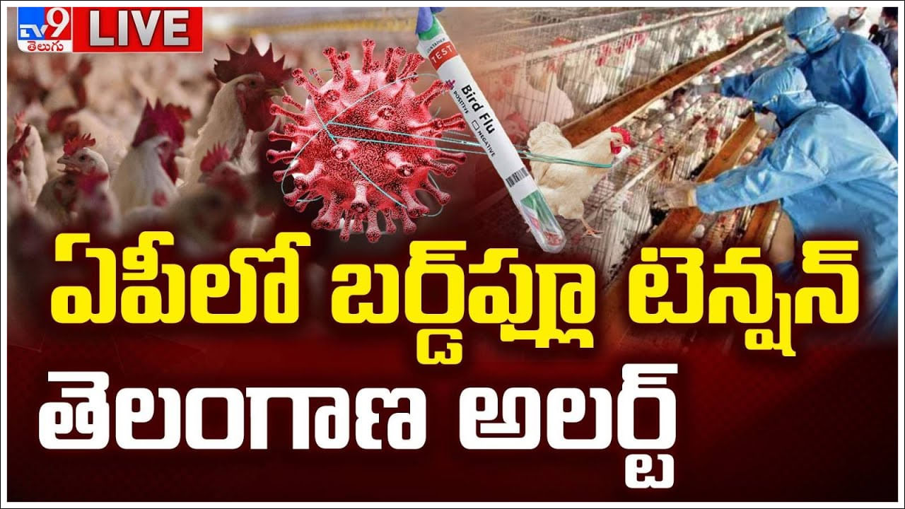 Bird Flu Effect: తెలుగు రాష్ట్రాల్లో బర్డ్ఫ్లూ ఎఫెక్ట్.. భారీగా