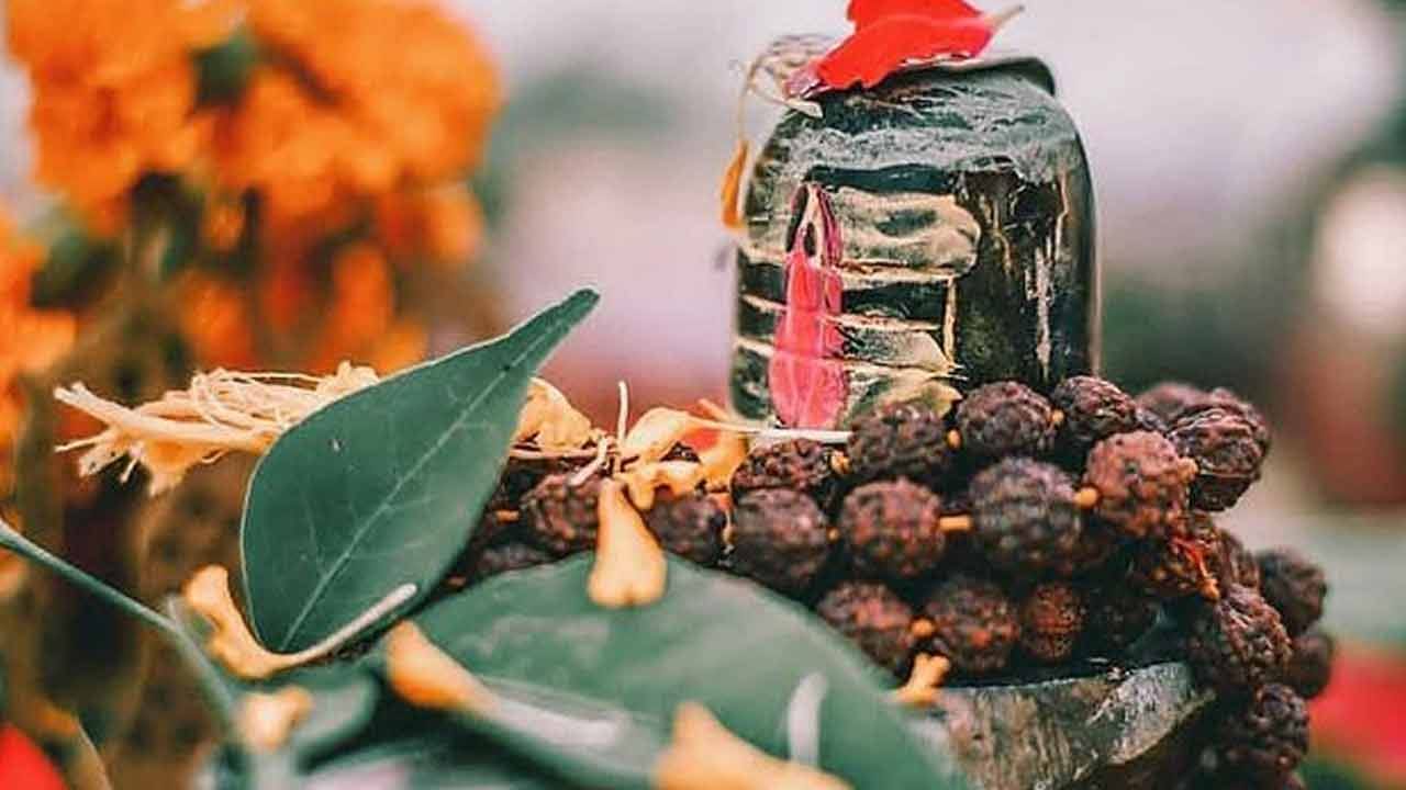 బిల్వపత్రాలలో విటమిన్ A, విటమిన్ C, విటమిన్ B1, విటమిన్ B6 వంటి ముఖ్యమైన విటమిన్లతో పాటు కాల్షియం, ఫైబర్ వంటి పోషకాలు సమృద్ధిగా ఉంటాయి. ఇవి డయాబెటిస్, పైల్స్, గుండె సమస్యలు వంటి అనేక దీర్ఘకాలిక వ్యాధుల నివారణలో సహాయపడతాయి. ఈ ఆకులను సరిగ్గా వినియోగించుకుంటే శరీరానికి కలిగే ఆరోగ్య ప్రయోజనాలను తెలుసుకుందాం.