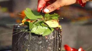 Lemon Water: ప్రతిరోజు ఉదయాన్నే నిమ్మరసం తాగితే.. ఆరోగ్యానికి ఎంత మంచిదో తెలుసా..?