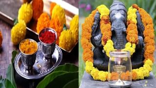 Cockroach Milk: ఛీ.. యాక్‌! నిజంగా.. బొద్దింక పాలల్లో అంత మ్యాటర్‌ ఉందా? ఇదెక్కడి ఖర్మ..