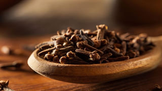 మంచి సువాసన వెదజల్లే మల్లెపూల మొక్కలను ఇంట్లో ఎందుకు పెట్టుకోరో తెలుసా?