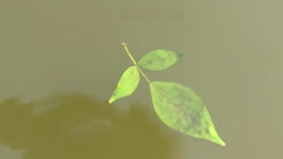 Andhra Pradesh: విద్యార్థినులపై వికృత చేష్టలకు పాల్పడ్డ హెడ్మాస్టర్.. చితకబాదిన పేరెంట్స్..!