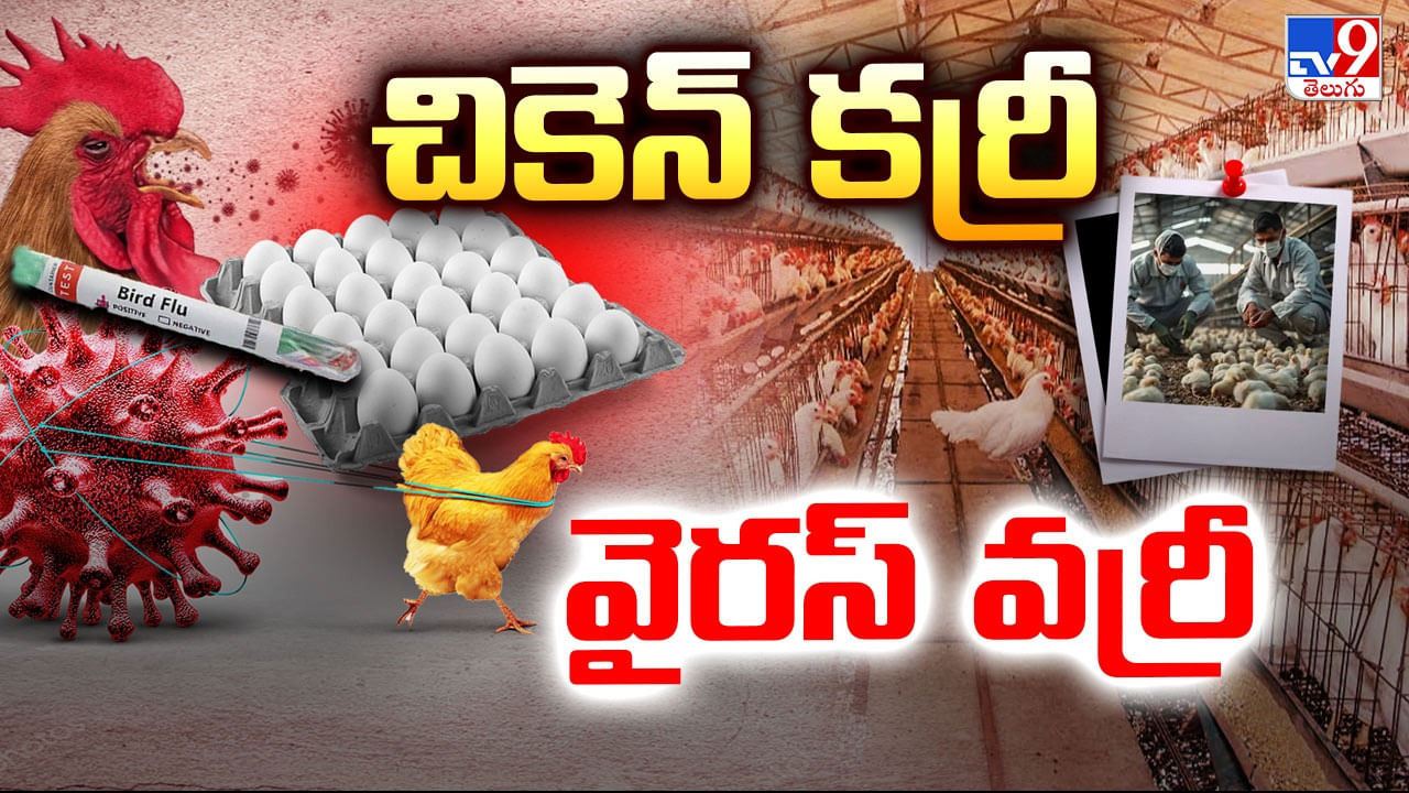 Bird Flu: చికెన్ తింటే ఇక అంతేనా? తెలుగు రాష్ట్రాల్లో బర్డ్ ఫ్లూ