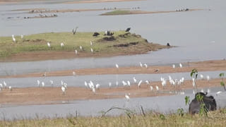 ఏడాదిలో ఒకరోజు ఆ ఊళ్లో గుడి, బడి, ఇళ్లకి తాళాలు వేసి వెళ్ళిపోతారు? ఎందుకో తెలుసా?