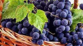 Health Tips: కాటన్ బడ్స్‌తో చెవి క్లీన్ చేసుకుంటున్నారా?.. వారికి ఇది నిప్పుతో చెలగాటమే..